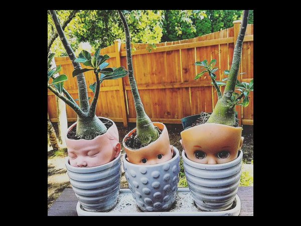 цветочные горшки