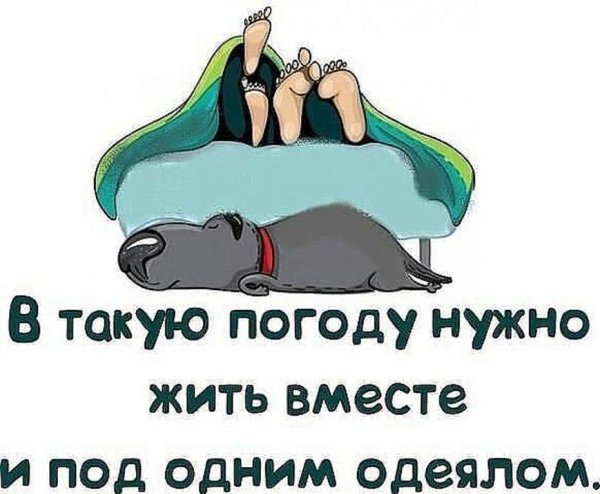 под одним одеялом