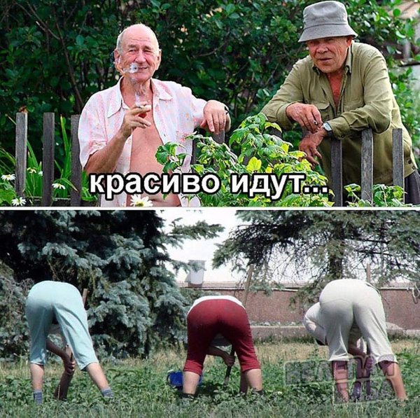 Будем жить прикольные