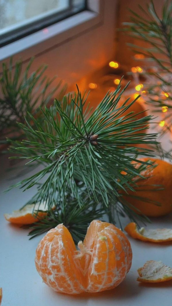 мандарин новогодний