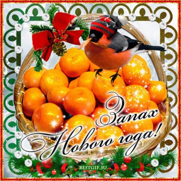 мандаринового настроения пожелания