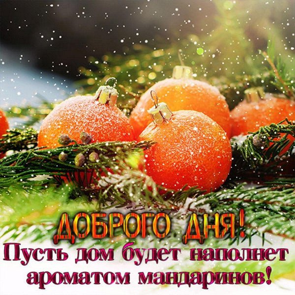 мандарины зимой