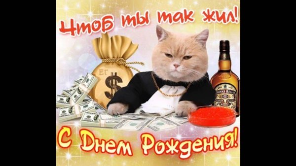 день рождения мужчине прикольные поздравления