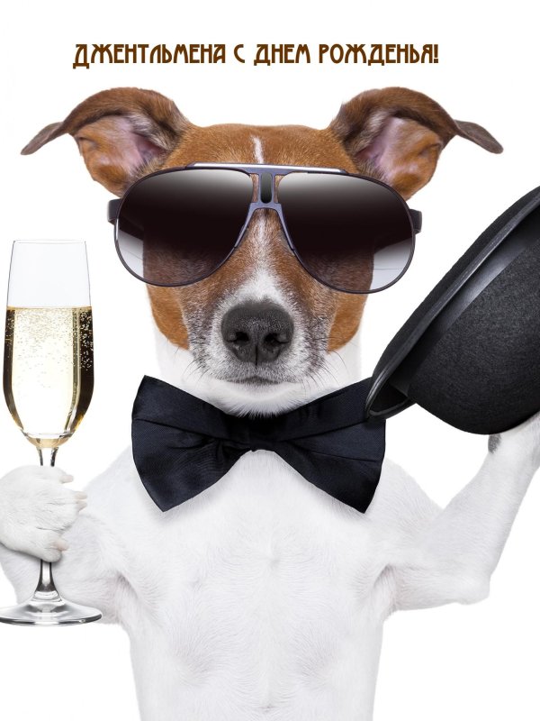 прикольная открытка на день рождения мужчине