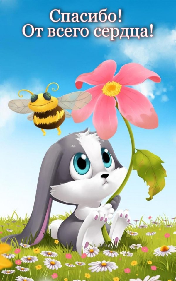 заяц шнуфель