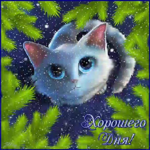 гифка добрый день
