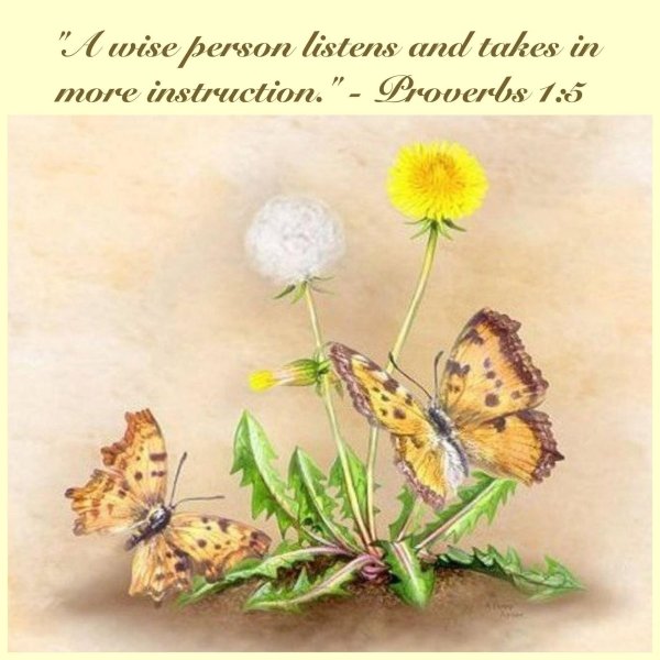 гусеница бабочки шоколадницы