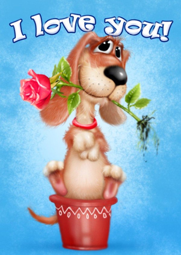 открытки с животными