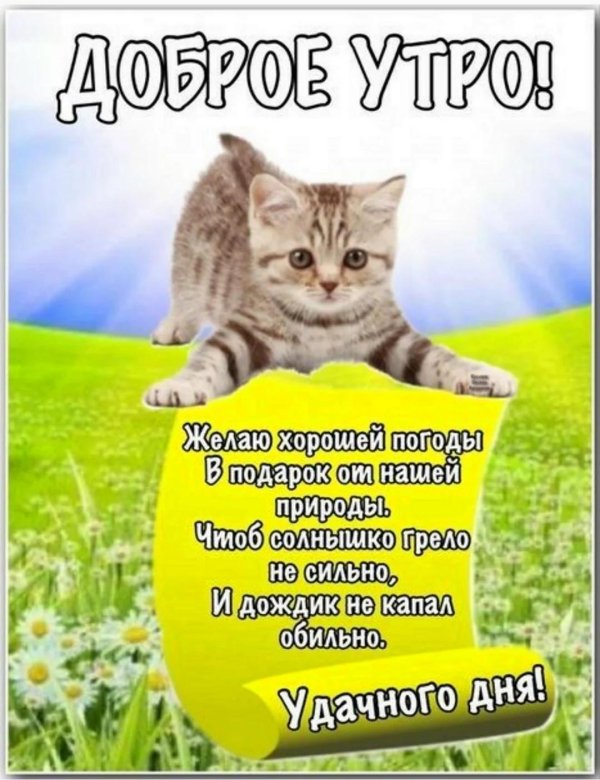 прикольное пожелание доброго утра