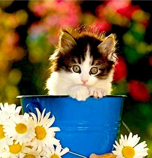 доброе воскресное у ро