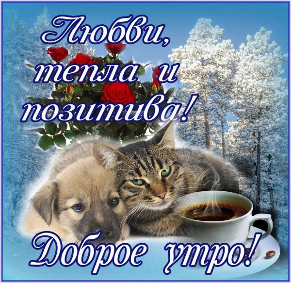 добрейшего утречка