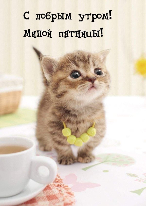 утро пятницы доброе