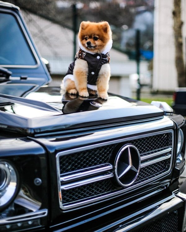 гелендваген мерседес