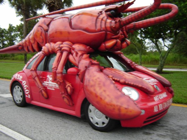 giant lobster
