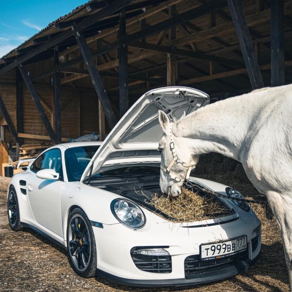 порше белый