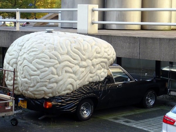 мозг человеческий