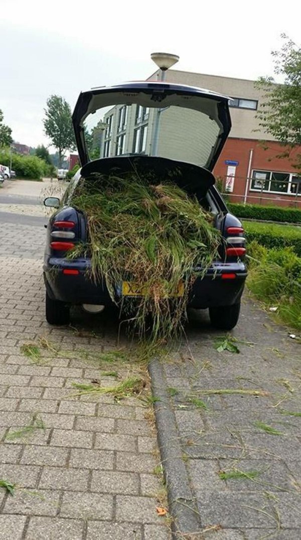 автомобильные приколы