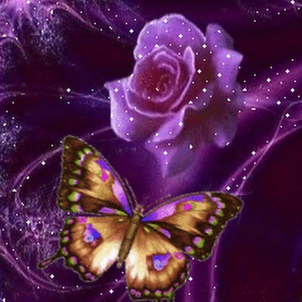 сверкающие бабочки