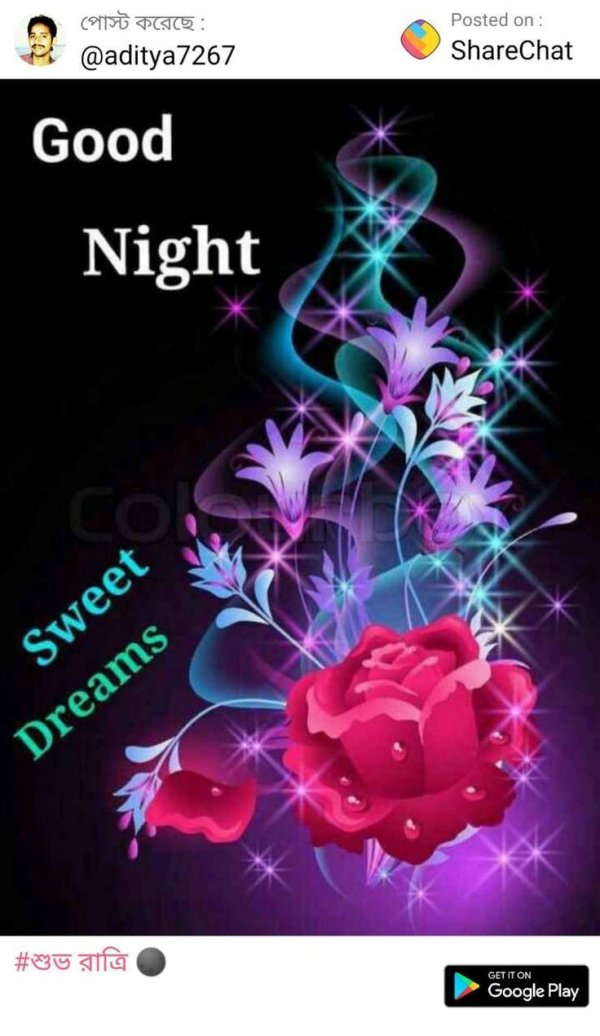 good night wishes