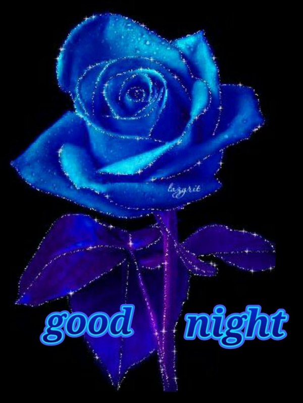 rose good night