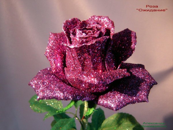 розы блестящие