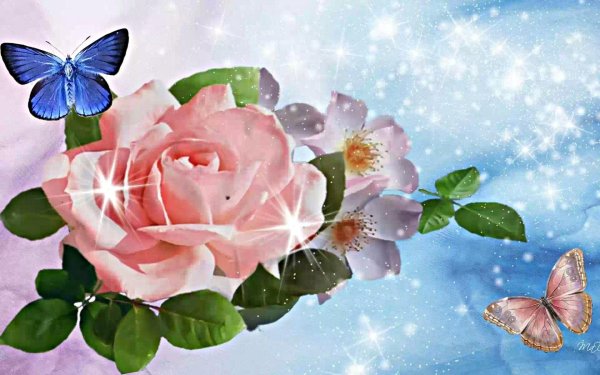 волшебные цветы