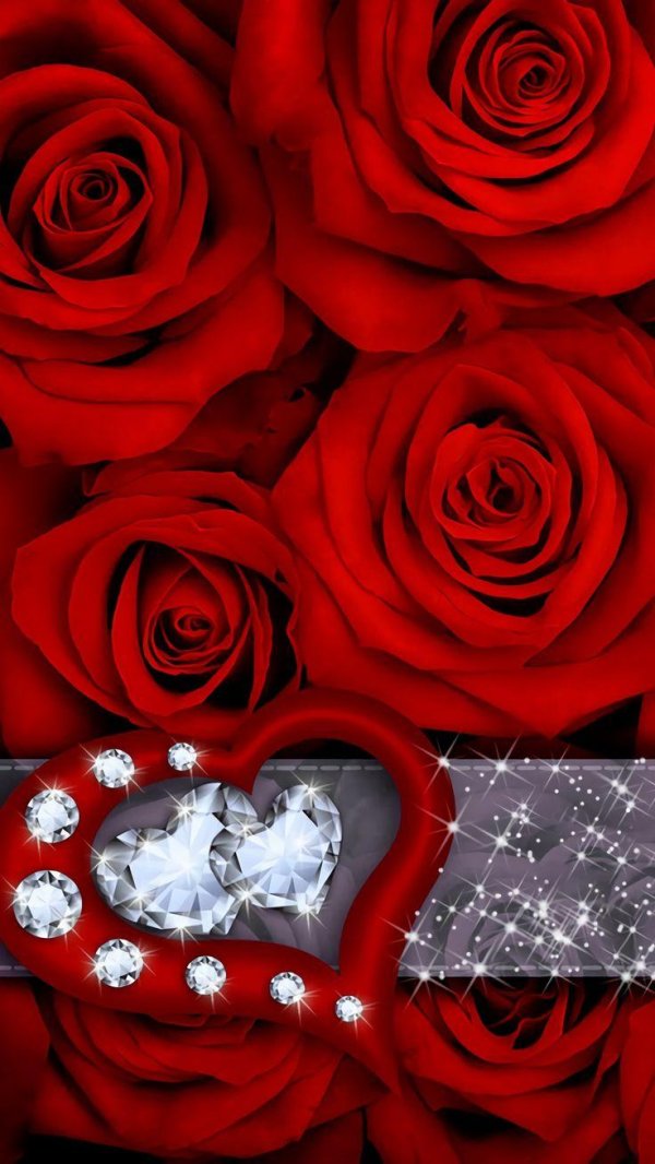 роскошные розы