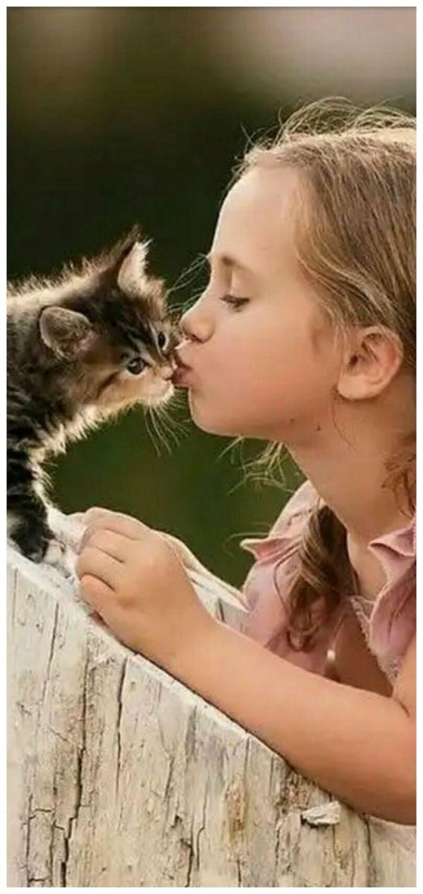 кошка и ребенок