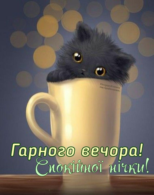 добрая ночь