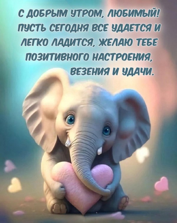 маленький слоненок