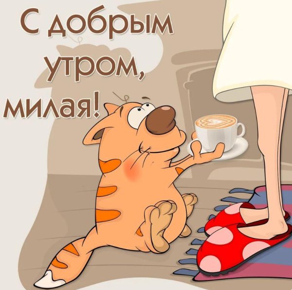 фприкольныепожелагия с дообрым утром