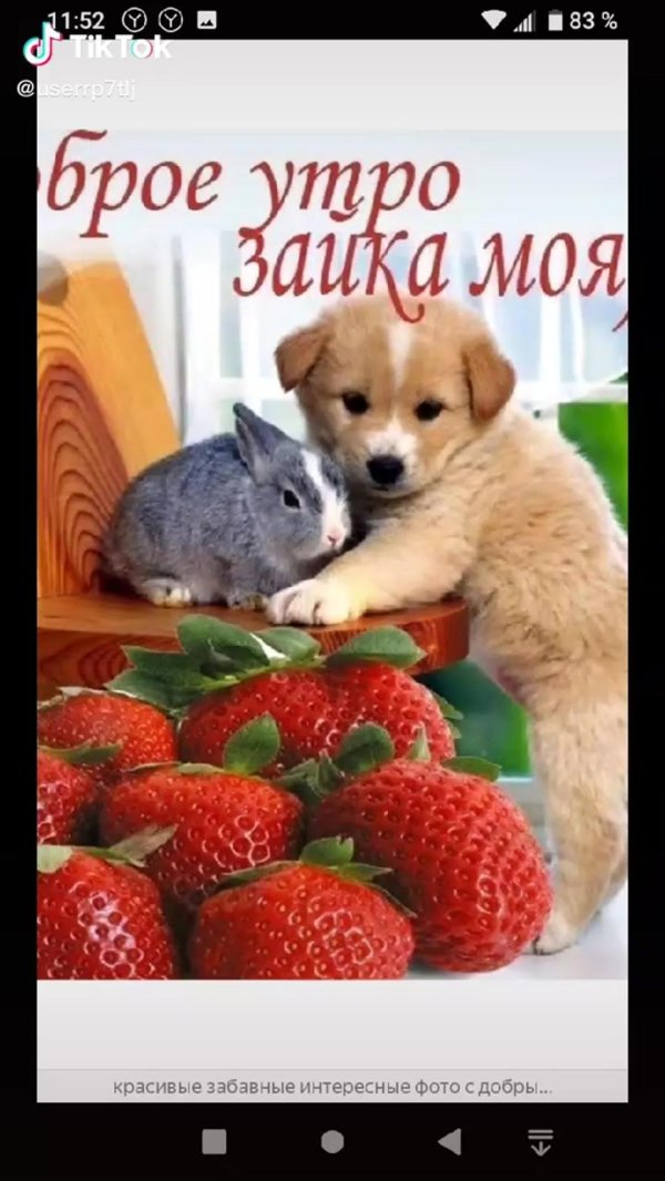 доброе утро зая