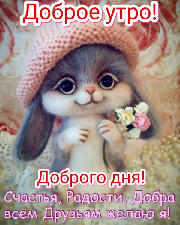 счастья радости добра