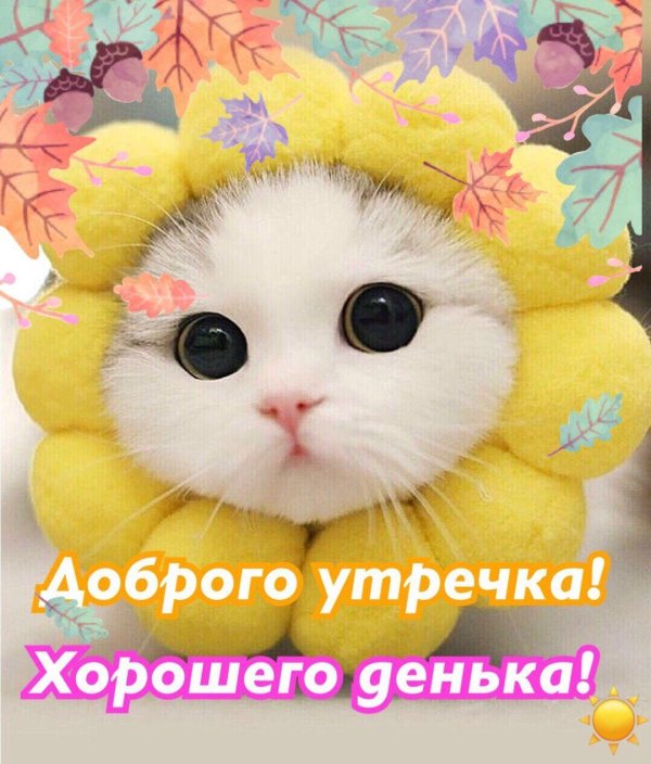 доброе утро няшные