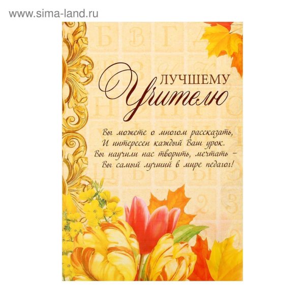 любимому учителю