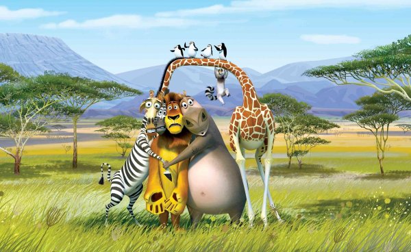 мелман мадагаскар