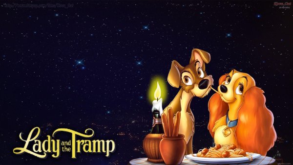 the lady and the tramp