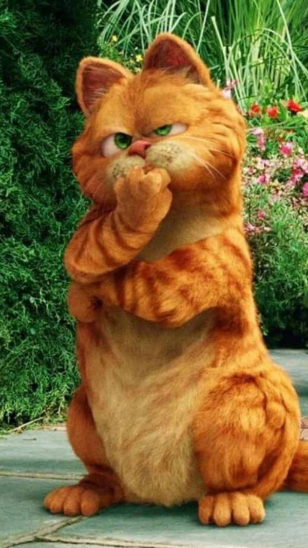 гарфилд кот