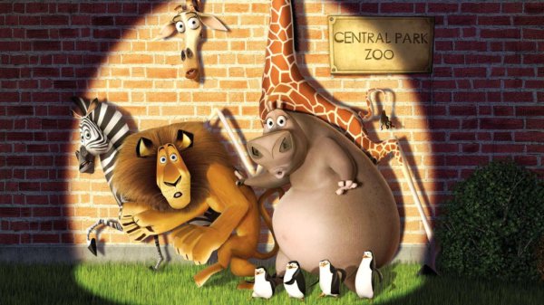 мультики мадагаскар