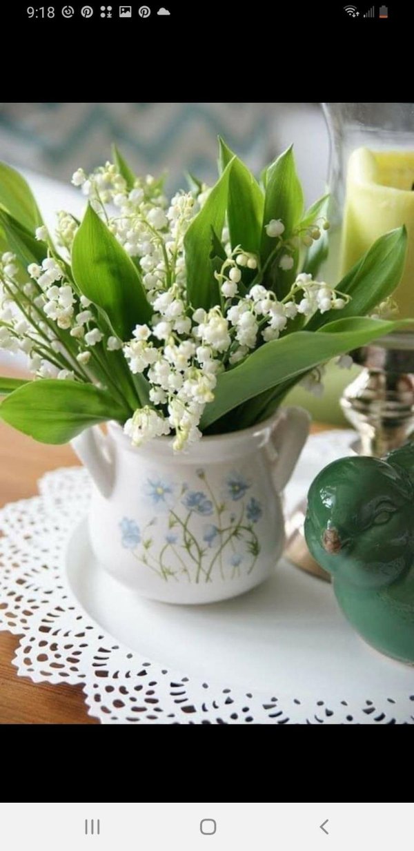 матренин посад ландыши