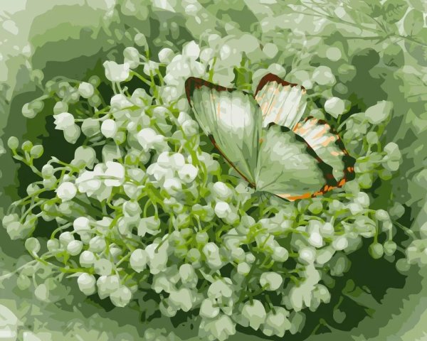 бабочка и цветок