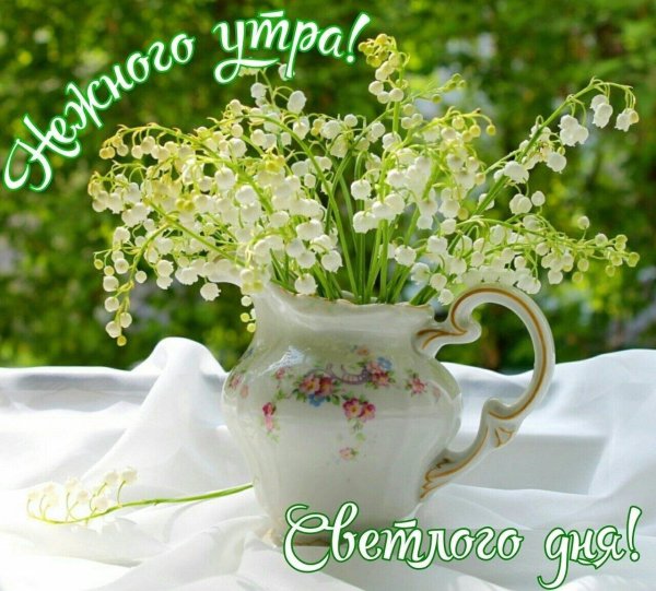 ландыш букет