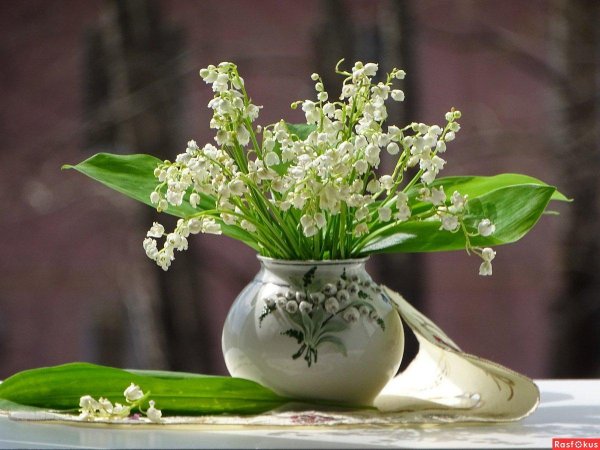 весенний ландыш