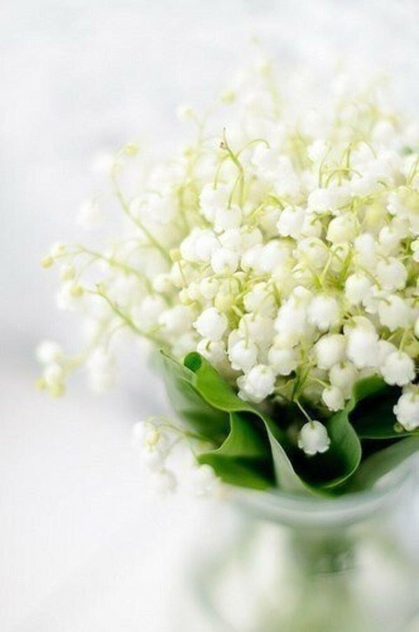 ландыш букет