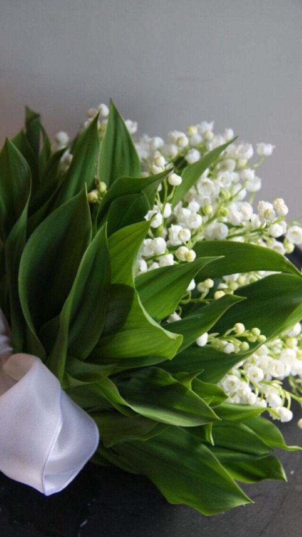 майский ландыш