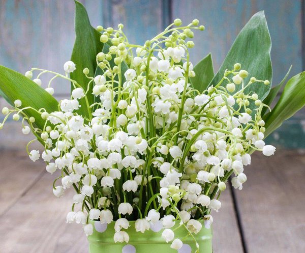 Хорошего дня ландыши