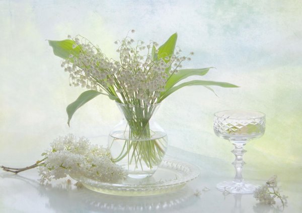 белый ландыш геншин