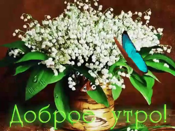открытки с добрым утром весна