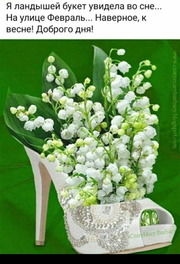 весна добрый день