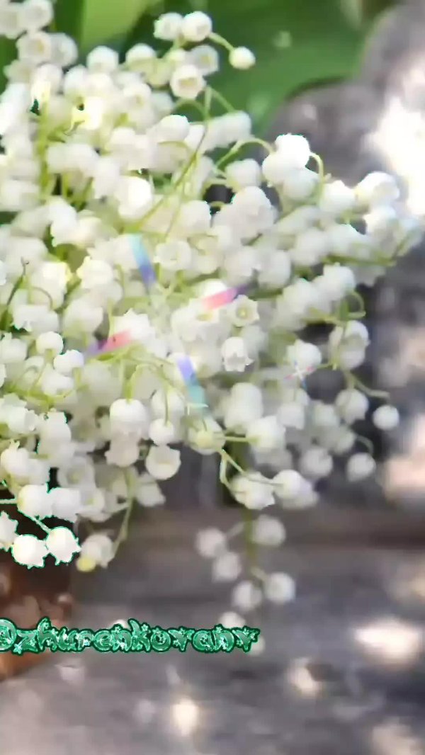 ландыш букет